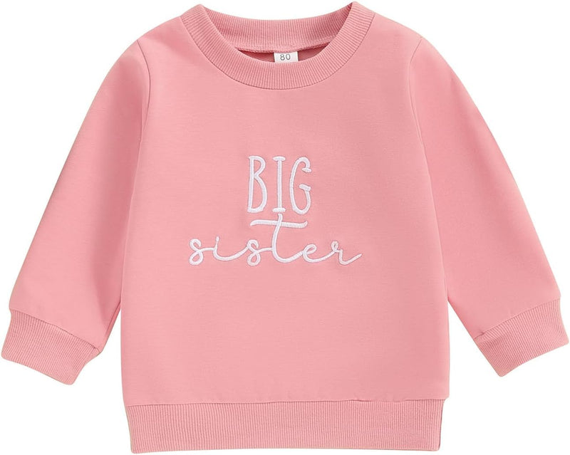 DOSYZTO Toddler Baby Girl Crewneck Sweatshirt Tops Big Sister Little Sister Pullover Sweater Shirt Kids Girls Clothing (Big Sister Pink Sweatshirt3-4T)