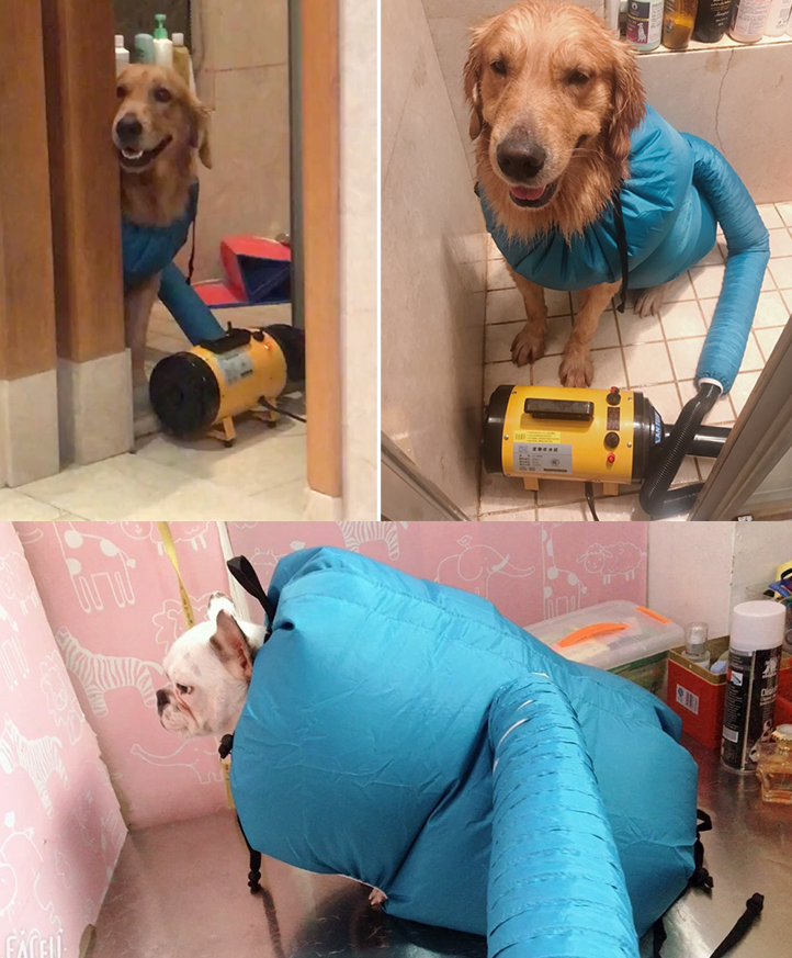 Pet Drying Box, Dryer, and Drying Bag